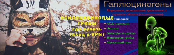 амф Арсеньев